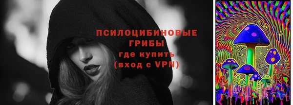 дживик Козловка