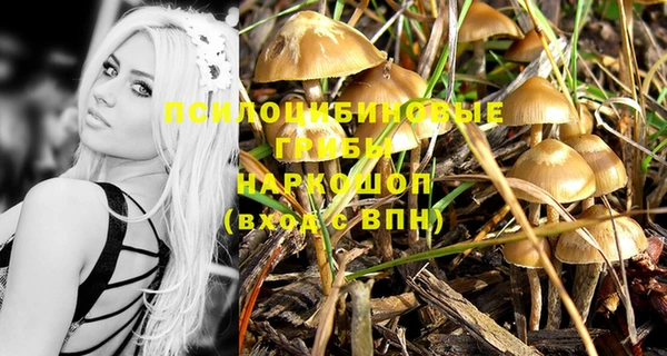 дживик Козловка