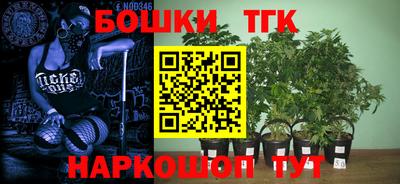 гидра Ипатово