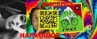 гидра Ипатово