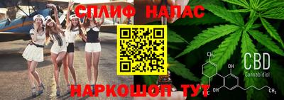 молекула духа Берёзовский