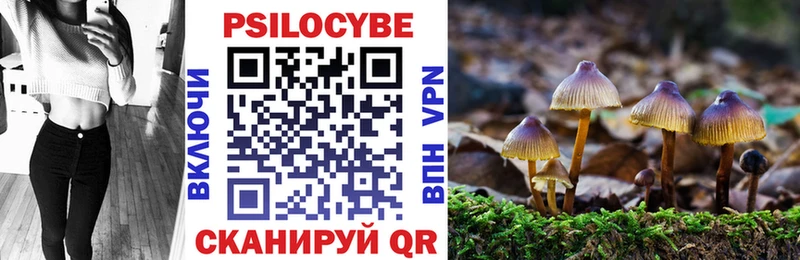 Галлюциногенные грибы мицелий  Октябрьский 