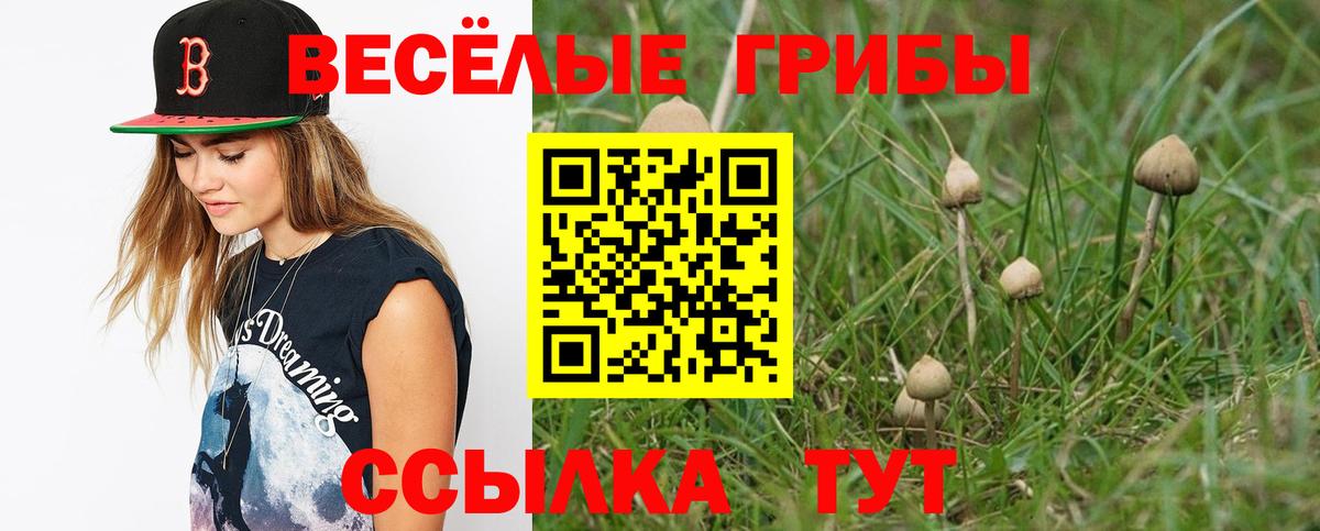 Галлюциногенные грибы мухоморы Октябрьский