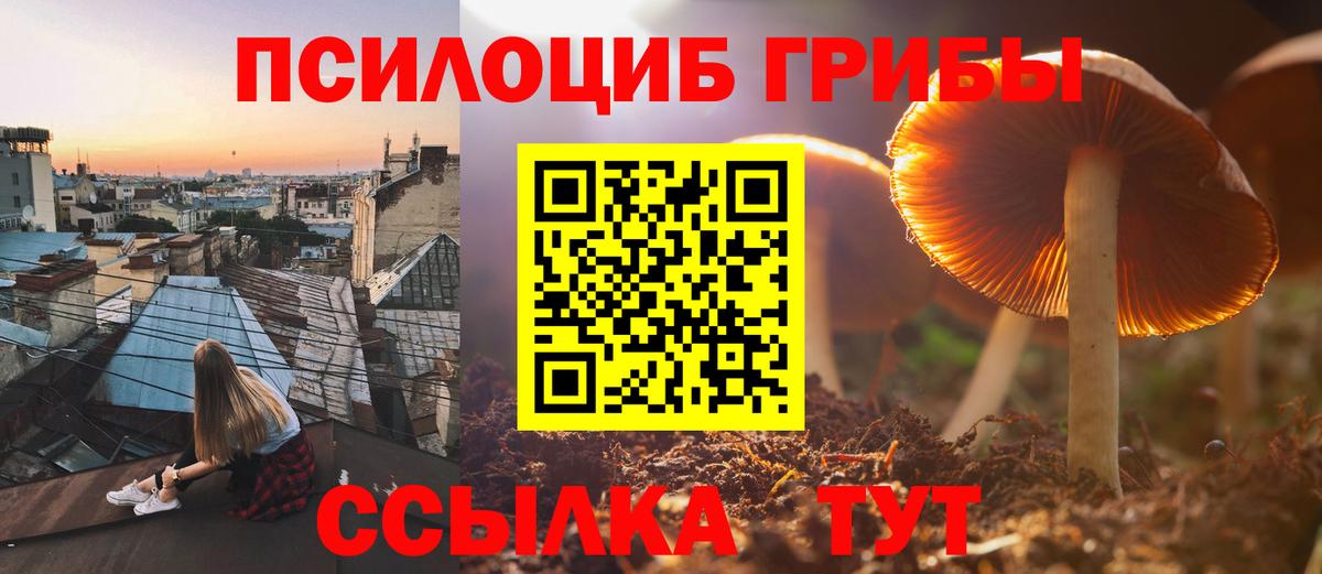 Псилоцибиновые грибы Psilocybe  купить наркоту  Октябрьский  Галлюциногенные грибы мицелий 