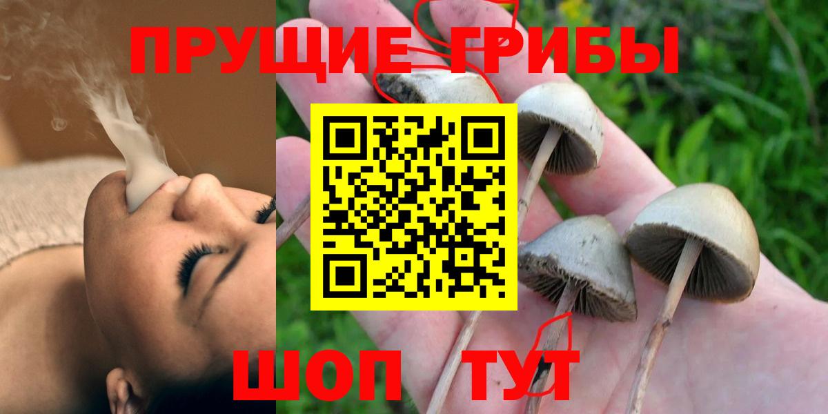 Псилоцибиновые грибы Psilocybine cubensis  Вход с VPN  Октябрьский 